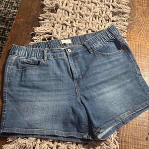 Curve Appeal Cute Denim Shorts